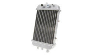 Motoflow-radiator