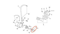 Oliepomp-tandwiel Minarelli OEM Oliepomp-tandwiel Minarelli OEM