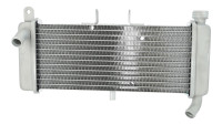 Piaggio-radiator (OEM) Piaggio-radiator (OEM)