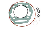 Afdichtingsset Malossi MHR 80cc