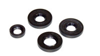 Set originele motorpakkingen