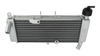 Radiator Aprilia TNT Radiator Aprilia TNT