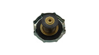 Radiateurdeksel Fantic OEM