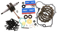 Set voor het reviseren van de motor