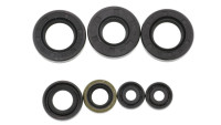 Set asafdichtingen Motoflow