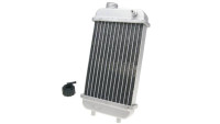 Radiator met radiatordeksel Radiator met radiatordeksel