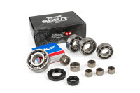 Getriebelager und Wellendichtringe Stage6 R/T