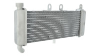 Piaggio-radiator (OEM) Piaggio-radiator (OEM)