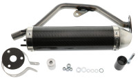 Uitlaatdemper Giannelli Carbon