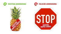 Ananas-sticker "Hunting Moped Tuners"