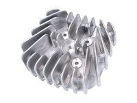 Cilinderkop Schmitt RD Style 50 cc
